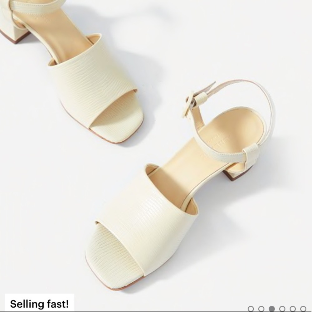 Everlane Block Heel Sandal